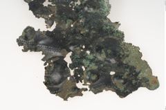 Foto von Bronzegürtelblech (NHMW-PRAE-001392)